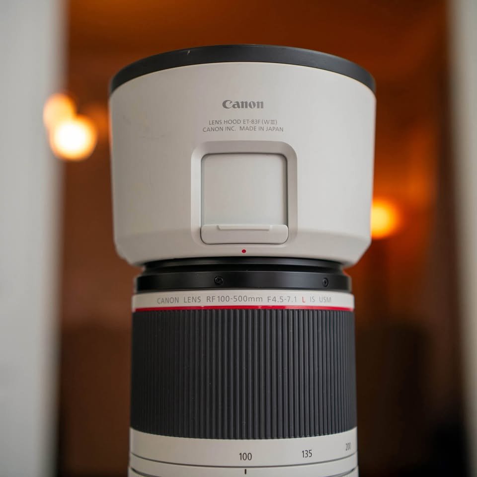Canon RF 100-500mm L lens - Image 7