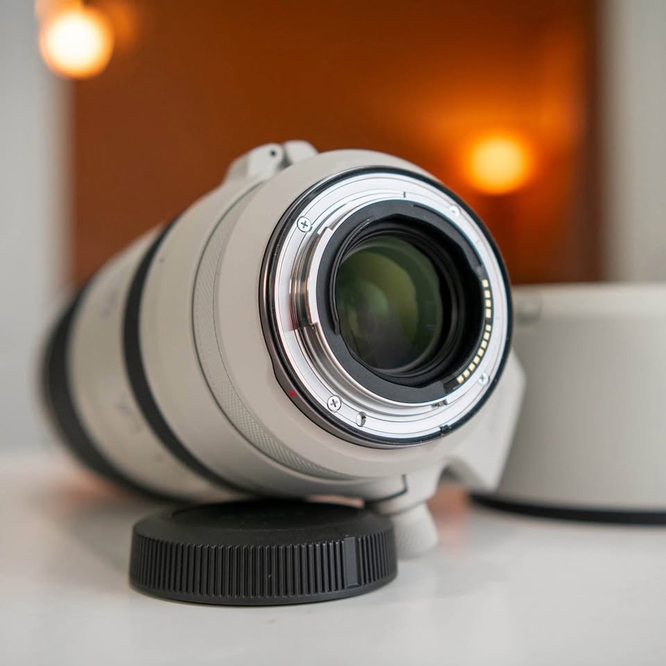 Canon RF 100-500mm L lens - Image 10