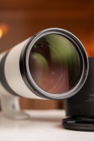 Canon RF 200-800mm Lens